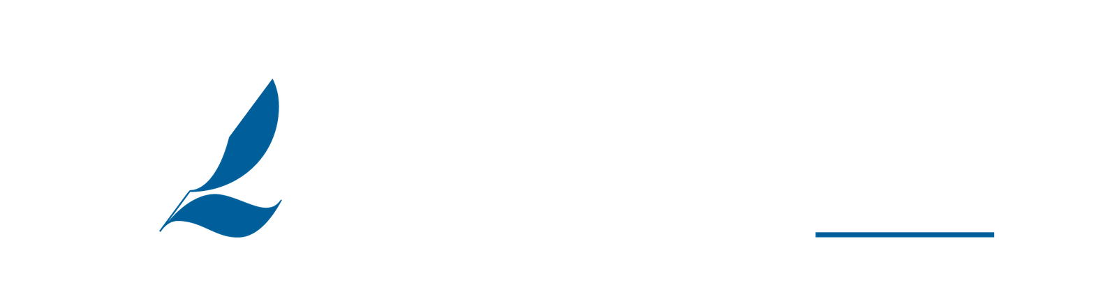 Q Capital